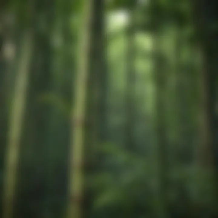 Diverse species of bamboo plants in a lush landscape