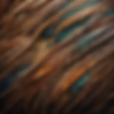 Intricate Feather Patterns of Ducks Close-up of a duck showcasing unique feather patterns and colors