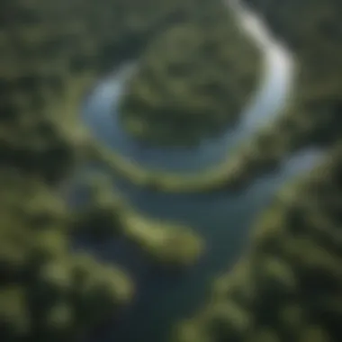 An aerial view of a winding river surrounded by lush greenery.