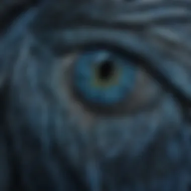 A close-up of a blue bird showcasing its intricate feather patterns.