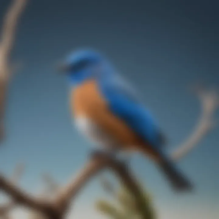 A vibrant blue bird perched on a branch against a clear sky.