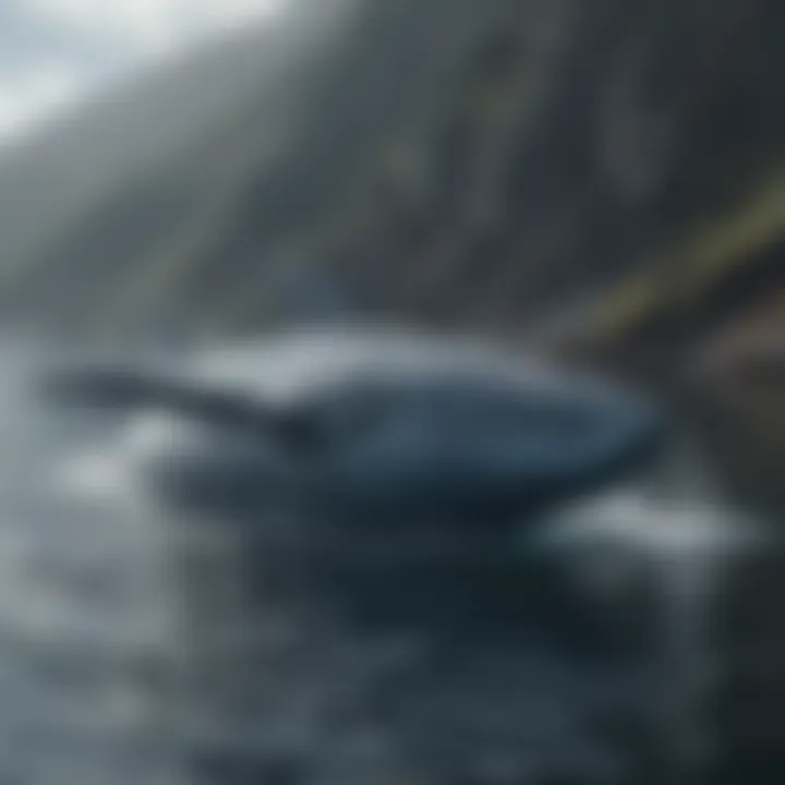 Majestic blue whale gliding through crystal clear waters