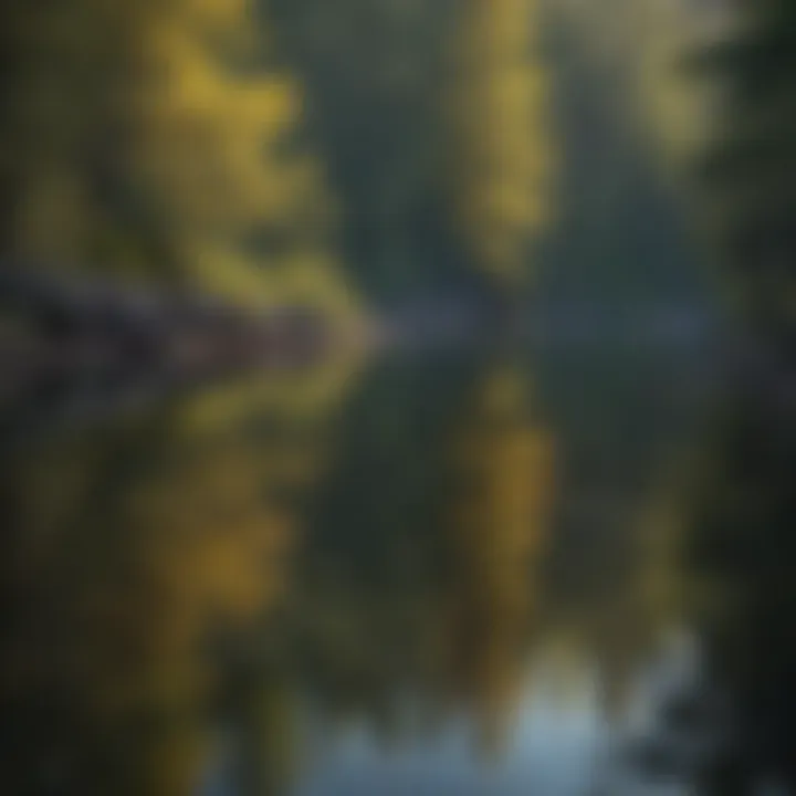 A serene lake reflecting the surrounding wilderness