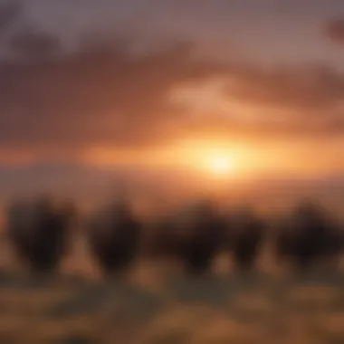 A herd of bison moving across the open plains during sunset