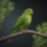 A vibrant green parakeet perched on a branch, showcasing its brilliant plumage