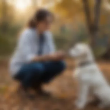 A veterinarian discussing treatment options with a pet owner