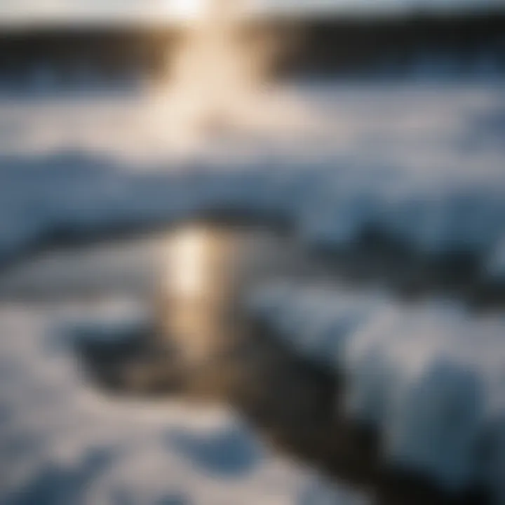 Frozen geyser in Yellowstone during winter