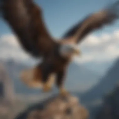 Eagle in Flight A majestic eagle soaring high above the mountains