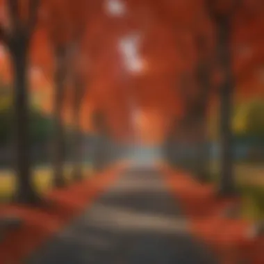 Red Maple trees providing shade in a residential area