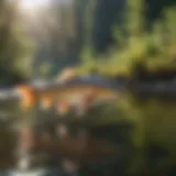 A scenic view of a pristine river habitat in Oregon, showcasing diverse fish species swimming.