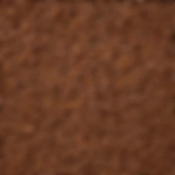 A close-up view of flax seeds showcasing their texture and color