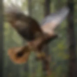Realistic flying hawk decoy in action