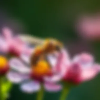 When to Seek Medical Help Consulting a doctor for a bee sting reaction