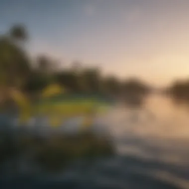 An expansive view of a popular Texas fishing location