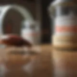 Natural deterrents for cockroaches displayed in various containers