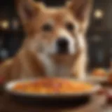 Nutritional analysis of Canidae dog food for sensitive stomachs