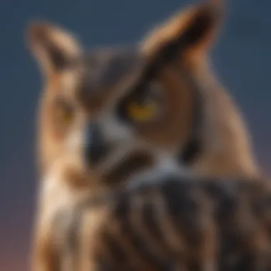 Great Horned Owl in the twilight sky Great Horned Owl at dusk