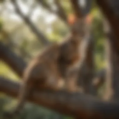 Savannah Cat in Its Natural Habitat A majestic Savannah cat lounging on a tree branch, showcasing its striking coat.