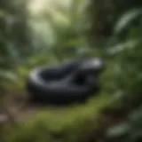 A serene garden showcasing a black garden snake gliding through lush greenery