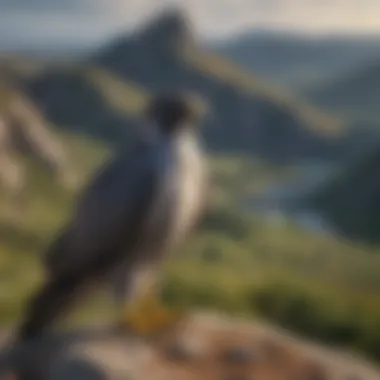 A stunning landscape depicting the habitat of the peregrine falcon.