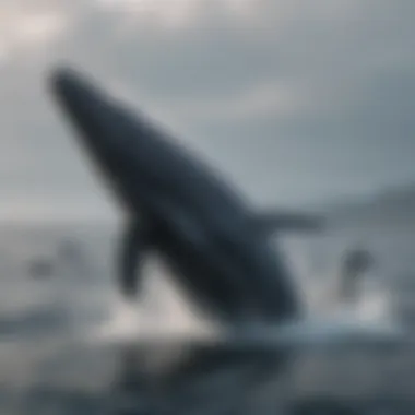 A pod of whales breaching simultaneously