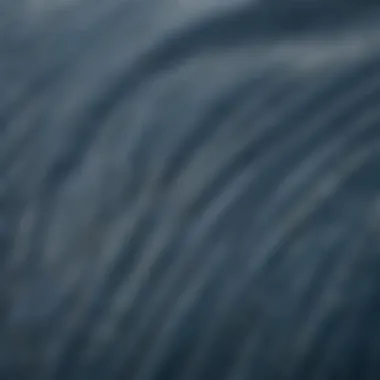 A close-up view of blue whale skin showcasing its unique texture and coloration.