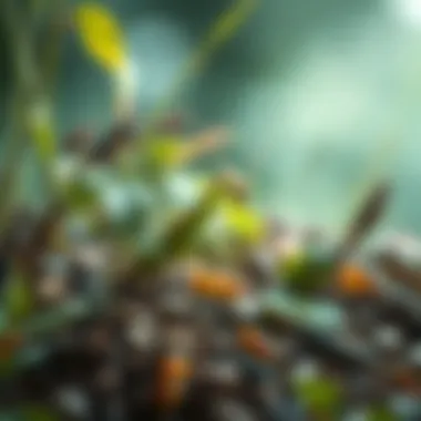 Ecosystem featuring various insects including a praying mantis