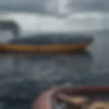 Size Comparison Between a Blue Whale and a Small Boat Comparison of blue whale body length to a small boat
