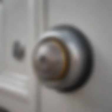 Auto Locking Mechanism in Pet Doors Close-up of an auto locking mechanism in a pet door