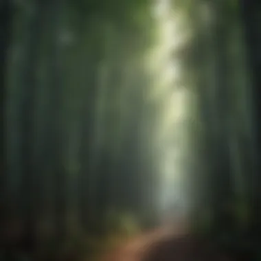 Ecological Diversity in a Bamboo Forest Lush bamboo forest showcasing its ecological diversity