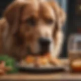 A large breed dog enjoying a healthy meal