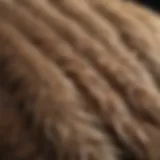 Close-up view of dog fur with visible lice