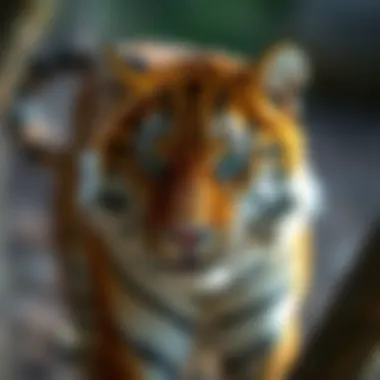 Understanding IUCN Endangered Species: Insights and Implications Summary Understanding IUCN Endangered Species: Insights and Implications Summary