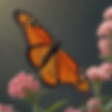 A close-up of a monarch butterfly resting on a flower.