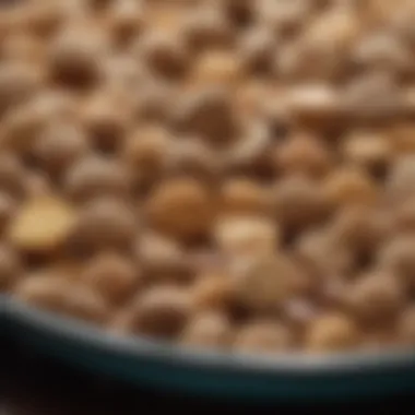Common Allergens in Pet Food Various common allergens found in pet food displayed together