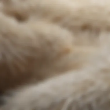 Close-up view of polar bear fur showcasing its unique structure