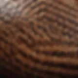 Close-up view of a snake's scales revealing intricate patterns