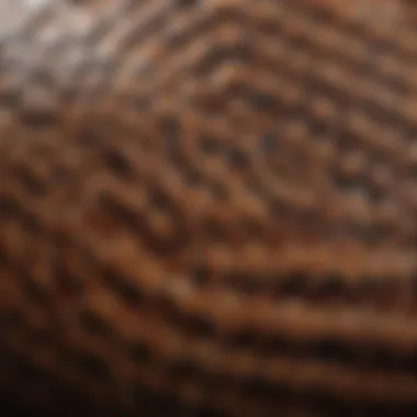 Close-up view of a snake's scales revealing intricate patterns