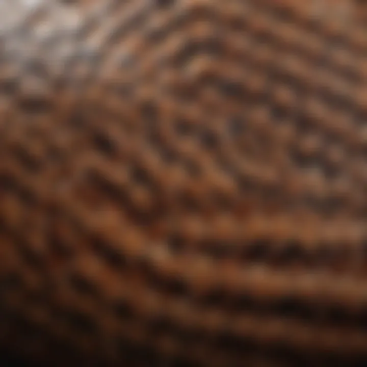 Close-up view of a snake's scales revealing intricate patterns