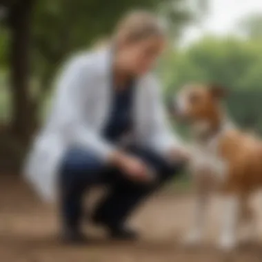 Veterinarian consulting with a dog owner about flea and tick options