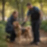 A skilled service dog assisting an individual with mobility challenges in a park setting.