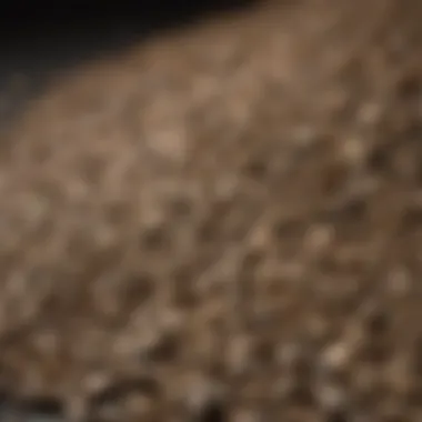 Breeze Pellets Texture Close-up of breeze pellets showcasing their texture.