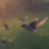 A purple martin soaring through the sky