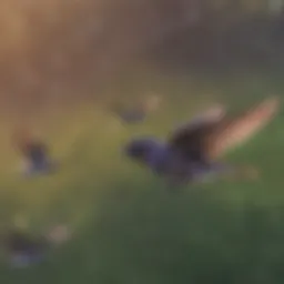 A purple martin soaring through the sky