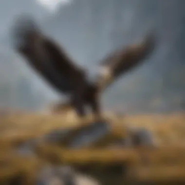 Eagles in Natural Habitat Eagles in their natural habitat, illustrating their ecological context