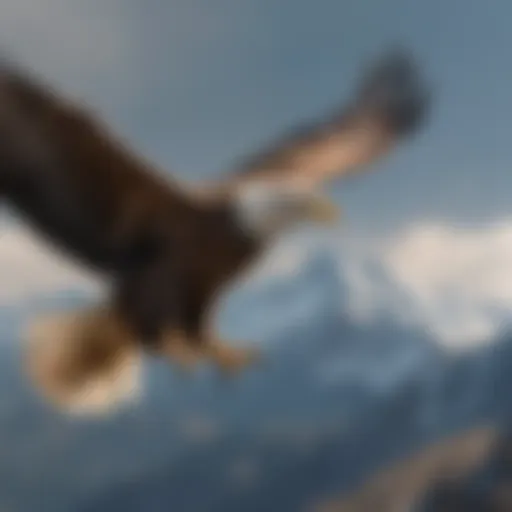 A majestic eagle soaring high above the mountains