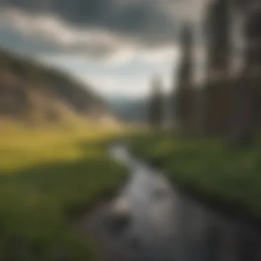 A panoramic view of Yellowstone National Park showcasing lush greenery and clear skies in June.
