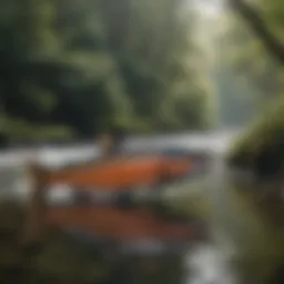 A pristine river ecosystem showcasing the habitat of wild caught Atlantic salmon.